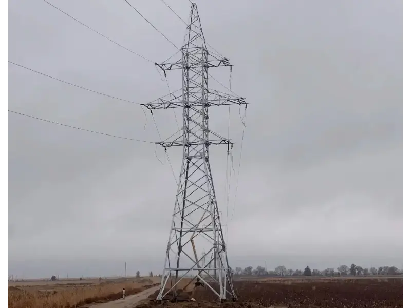 Phản hồi của khách hàng về Mao Tong